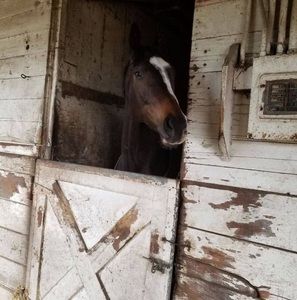 Meet your Posher, Angel